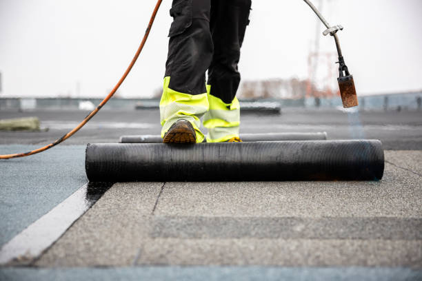 Best Steel Roofing  in Clarksdale, MS