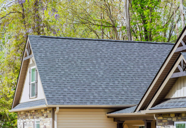 Best Roof Insulation Installation  in Clarksdale, MS